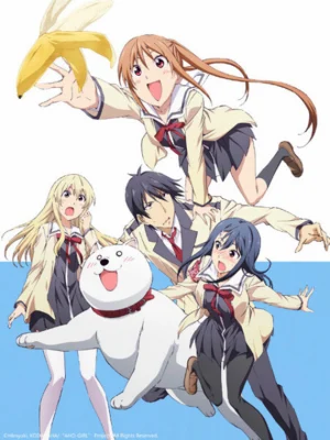 Cô Nàng Ngốc – Aho Girl - Aho Girl (2017)