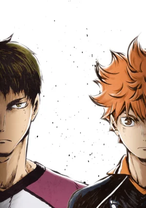 Haikyu – Chàng khổng lồ tí hon (Phần 3) - Haikyu!! (Season 3) (2020)