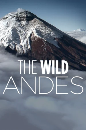 The Wild Andes - The Wild Andes (2018)